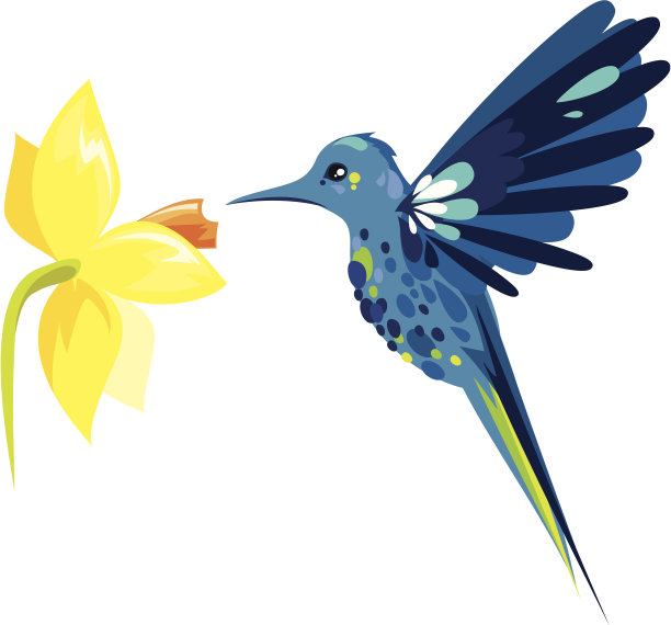 可爱的鸟图片下载