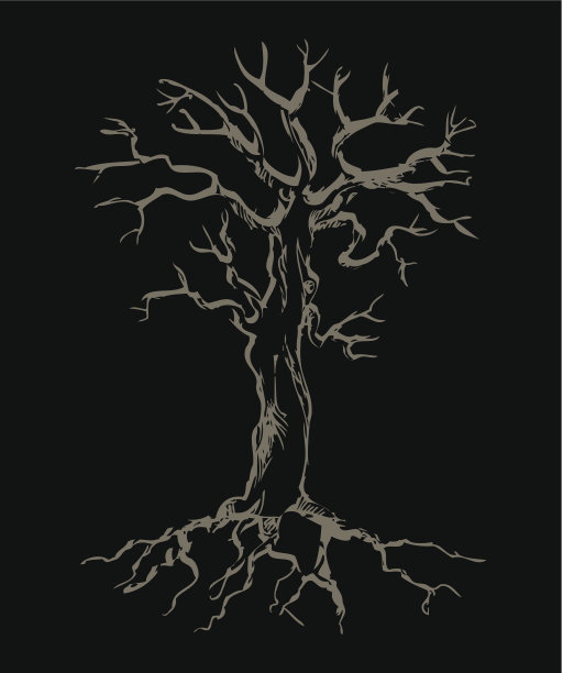 有根的死树图片下载