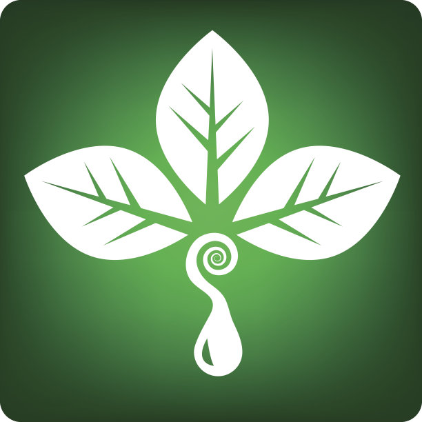 大自然的水图片下载