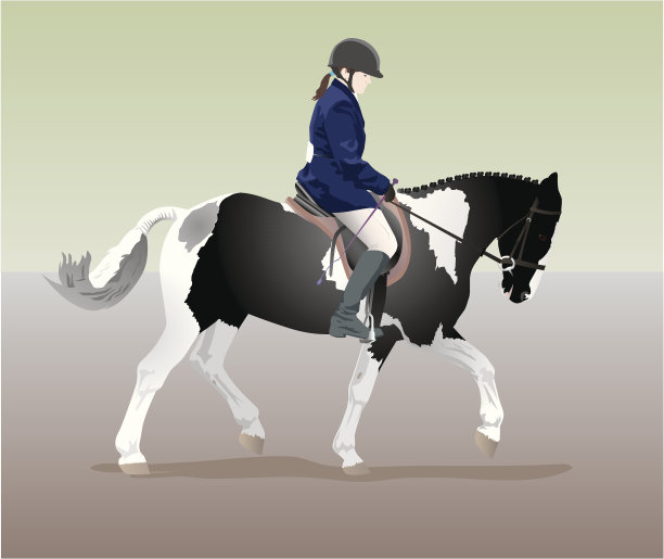 盛装舞步的马匹和骑手图片下载