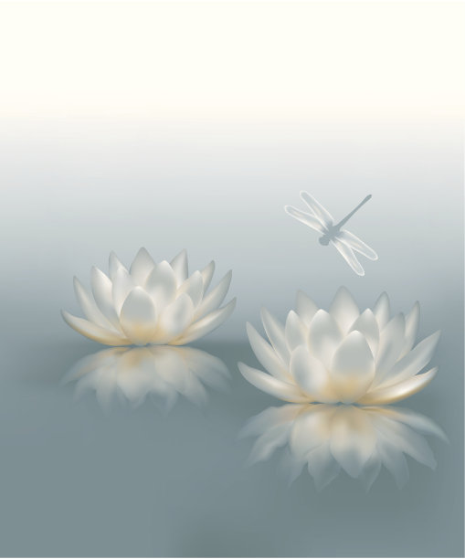 睡莲的背景素材图片