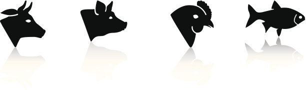 肉动物图片下载