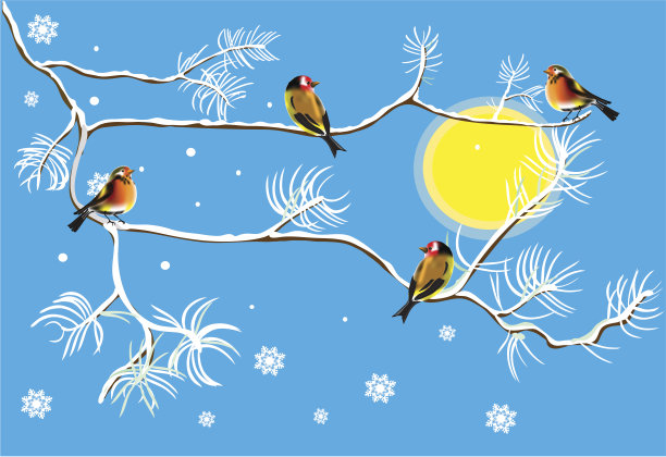 冬季鸟类图片下载