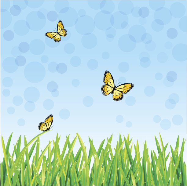 夏时间图片下载