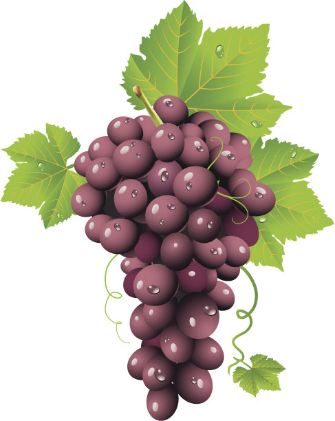 葡萄集群图片下载
