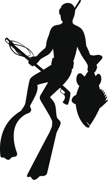 鱼叉鱼图片下载