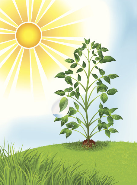 阳光植物研究图片下载