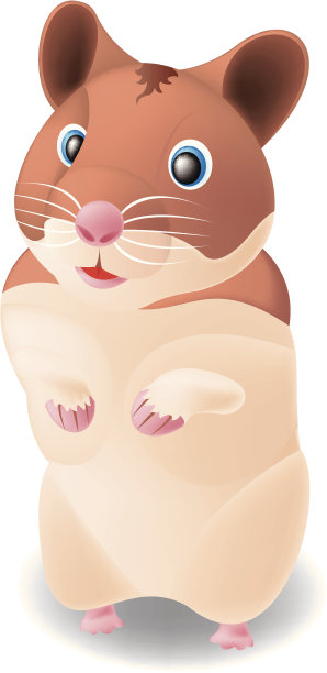 仓鼠图片下载