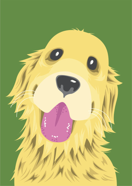 金毛猎犬图片下载