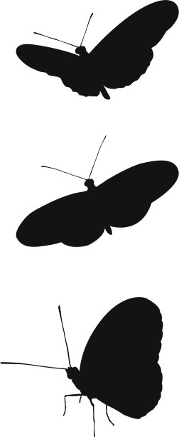 蝴蝶剪影图片下载