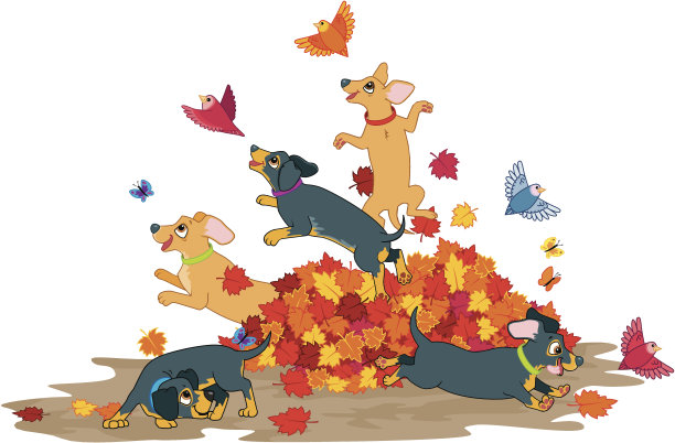 腊肠狗爱秋天图片下载