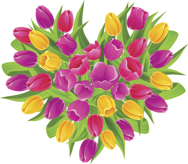 五彩郁金香的心形花束图片下载