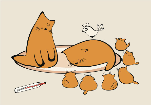 猫和小猫，鸟是医生。图片下载