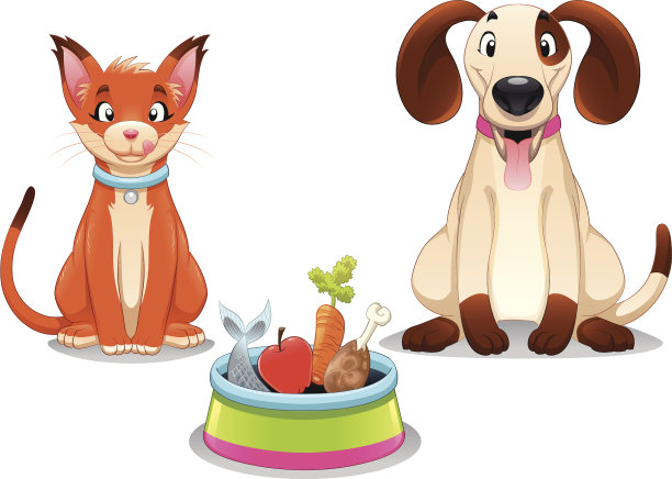 猫和狗有食物。图片下载