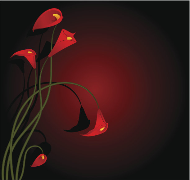 美丽的热带红色百合。向量图片下载