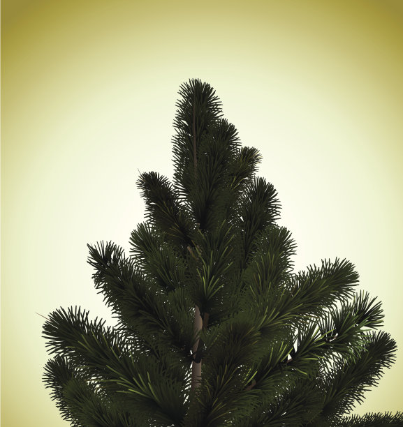 圣诞树。图片下载