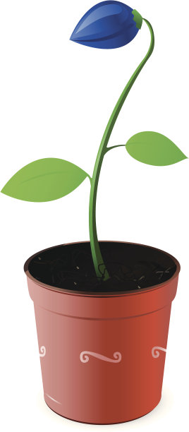 花盆内种植图片下载