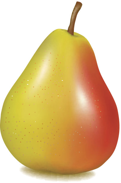 黄色的梨。图片下载
