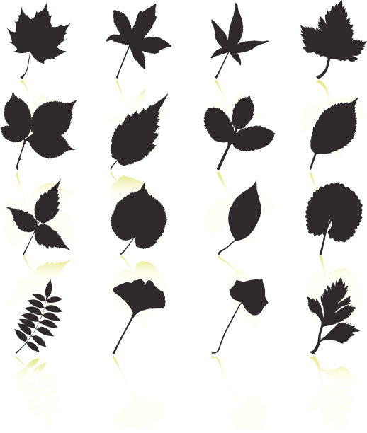 叶与花黑白免版税矢量图标集图片下载