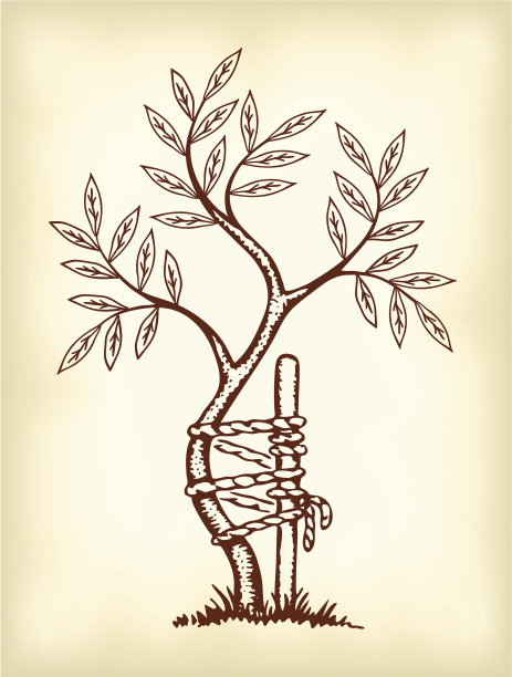 骨科和创伤学的象征。图片下载