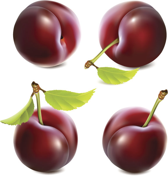 李子用树叶图片下载