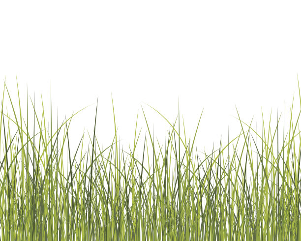 绿草的背景图片下载