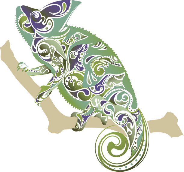 变色龙图片下载