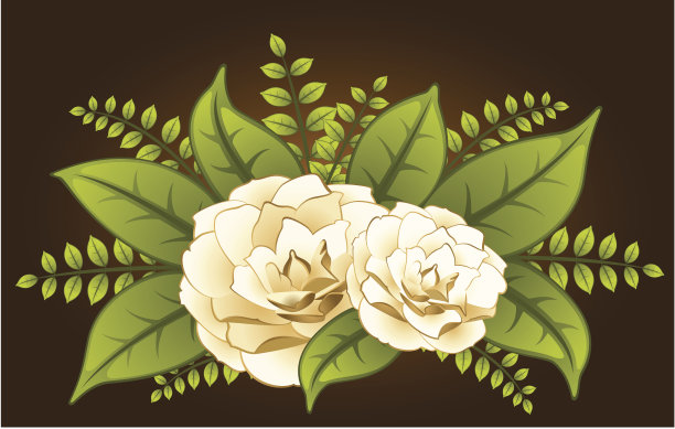 美丽的花开花。向量图片下载