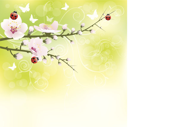 春天的花朵图片下载