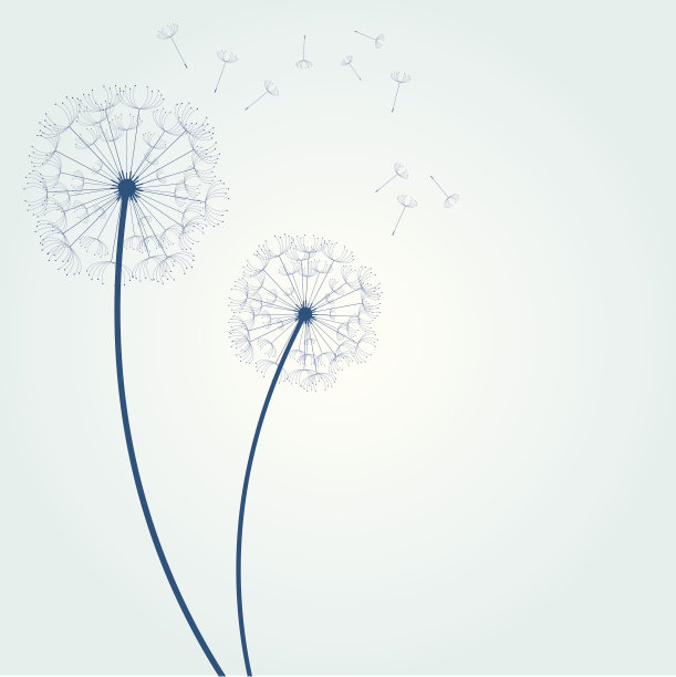 向量蒲公英背景图片下载