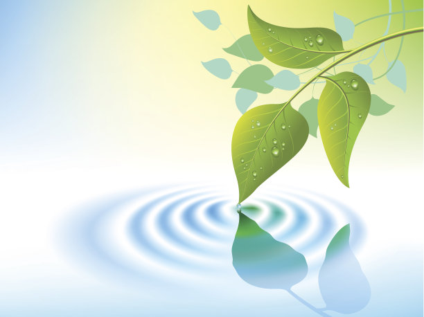 水波纹和树叶图片下载