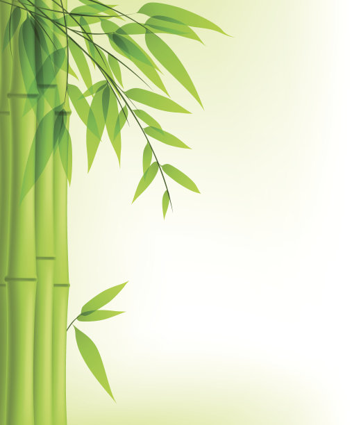 青竹偏离中心生长图片下载