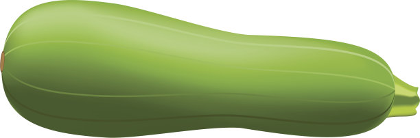 西葫芦矢量图图片下载