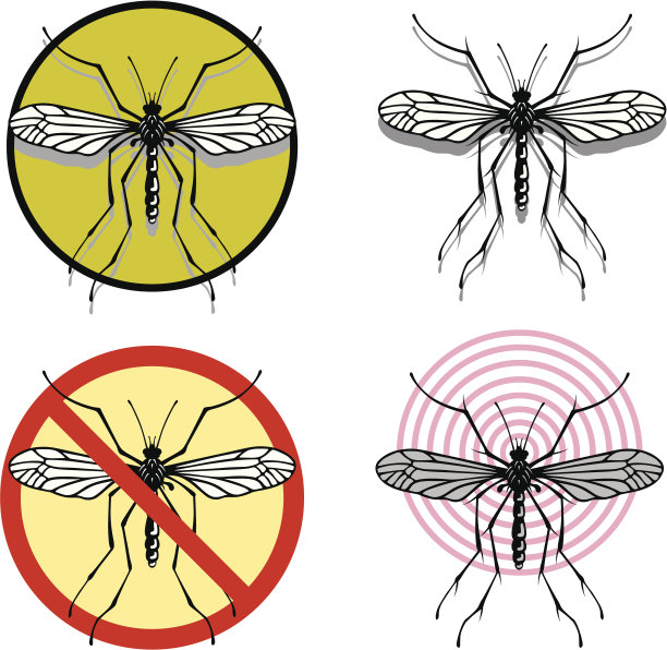 蚊子图片下载