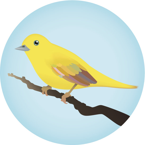 树枝上的黄鸟图片下载