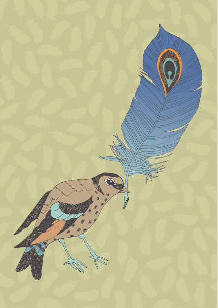 小鸟和大羽毛图片下载