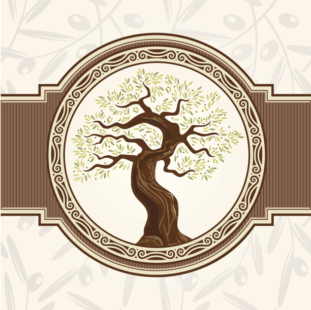 橄榄树向量图片下载