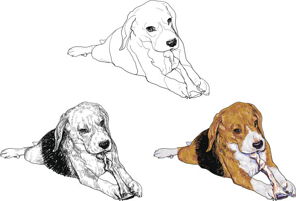 小猎犬和骨棒图片下载