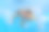 美丽的女孩在游泳池里游泳图片下载