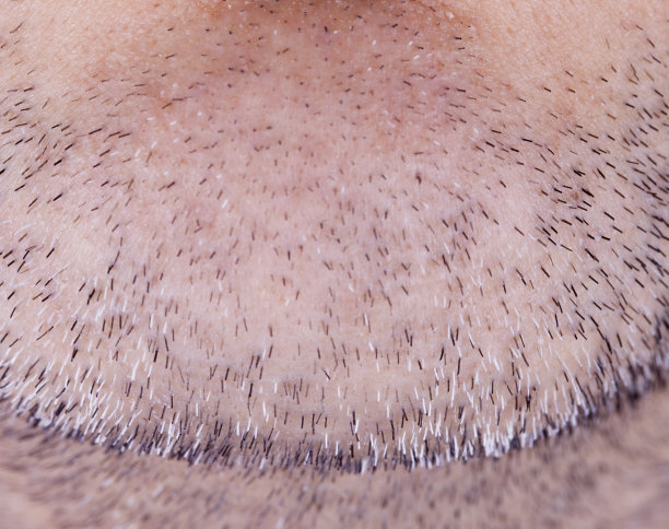 白发的下巴图片下载