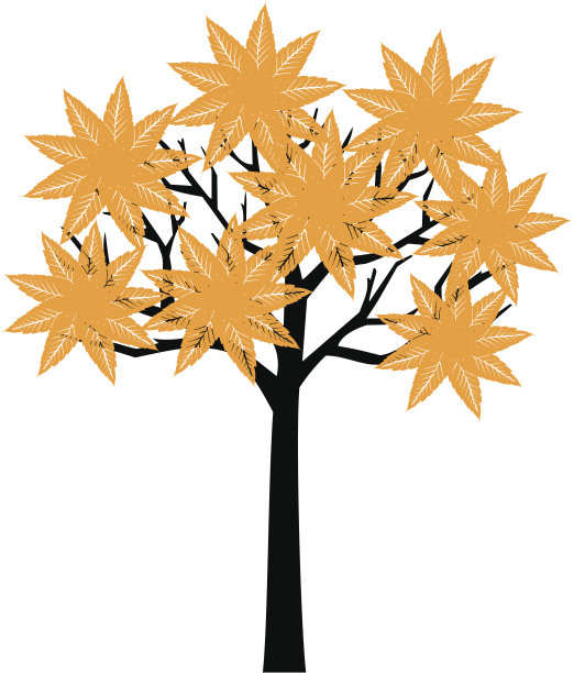 秋天的树图片下载