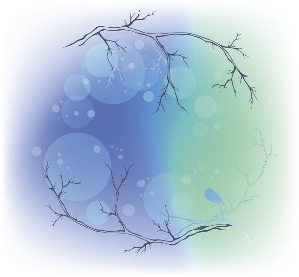 冬季森林图片下载