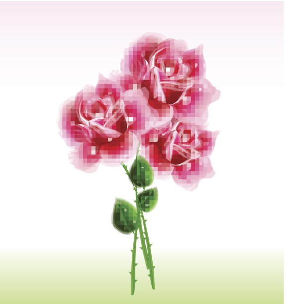 一束粉红色的玫瑰。向量图片下载