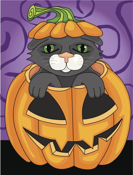 猫在南瓜图片下载