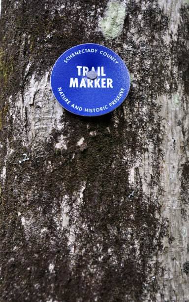 跟踪标记图片下载