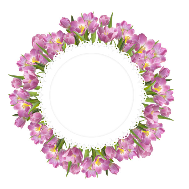 白色篮子里的粉色郁金香图片下载