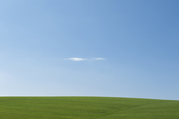 无尽的草原图片下载