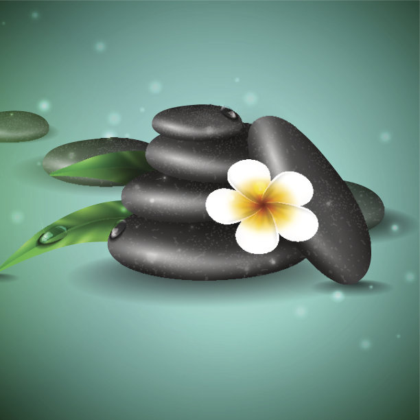 温泉石与鸡蛋花。图片下载