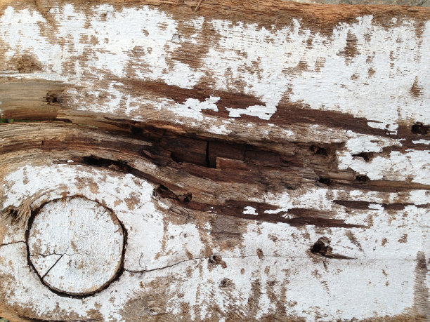 漆木表面纹理图片下载