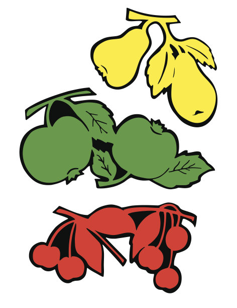 水果和树叶图片下载